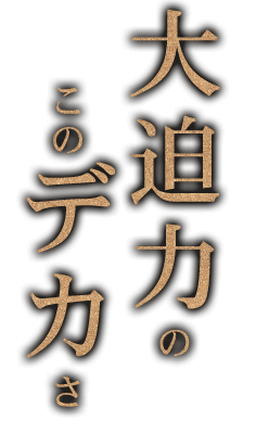 大迫力のこのデカさ